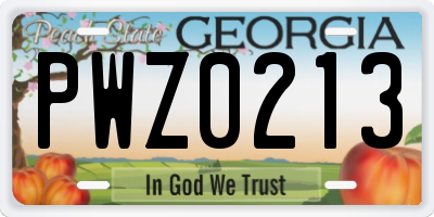 GA license plate PWZ0213