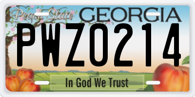 GA license plate PWZ0214
