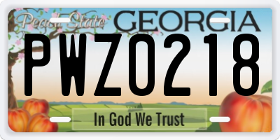 GA license plate PWZ0218