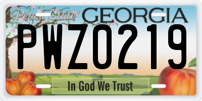 GA license plate PWZ0219
