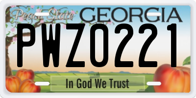 GA license plate PWZ0221
