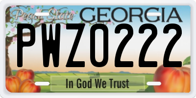 GA license plate PWZ0222
