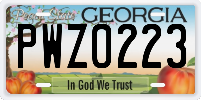 GA license plate PWZ0223