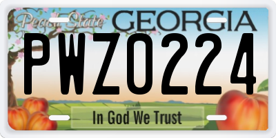 GA license plate PWZ0224