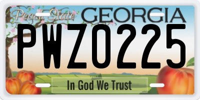 GA license plate PWZ0225