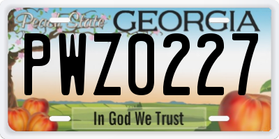 GA license plate PWZ0227