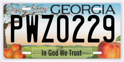 GA license plate PWZ0229