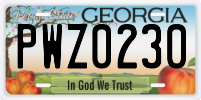 GA license plate PWZ0230