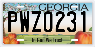GA license plate PWZ0231