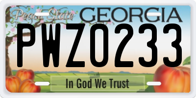 GA license plate PWZ0233