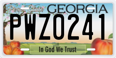 GA license plate PWZ0241