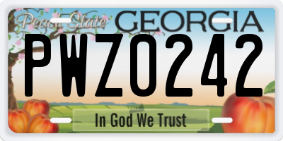 GA license plate PWZ0242