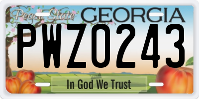 GA license plate PWZ0243