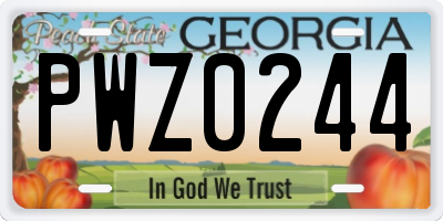 GA license plate PWZ0244