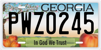 GA license plate PWZ0245
