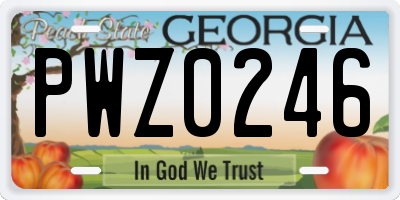 GA license plate PWZ0246