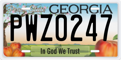 GA license plate PWZ0247