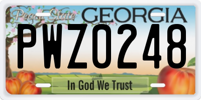 GA license plate PWZ0248