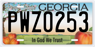 GA license plate PWZ0253