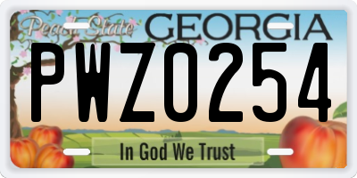 GA license plate PWZ0254