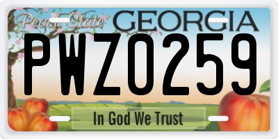 GA license plate PWZ0259