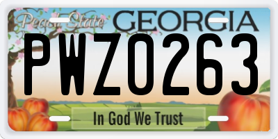 GA license plate PWZ0263