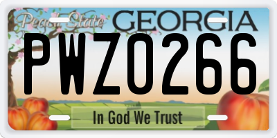GA license plate PWZ0266