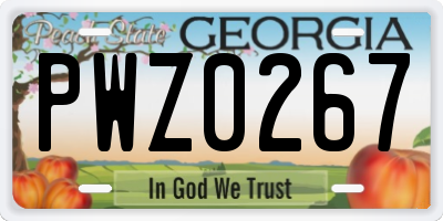 GA license plate PWZ0267