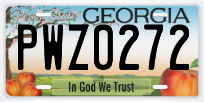 GA license plate PWZ0272