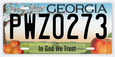 GA license plate PWZ0273