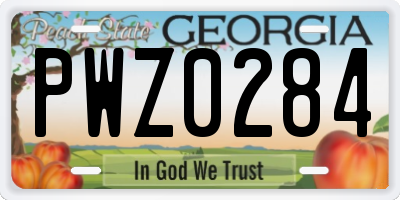 GA license plate PWZ0284