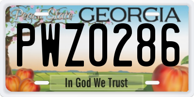 GA license plate PWZ0286
