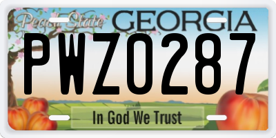 GA license plate PWZ0287