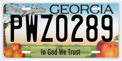GA license plate PWZ0289