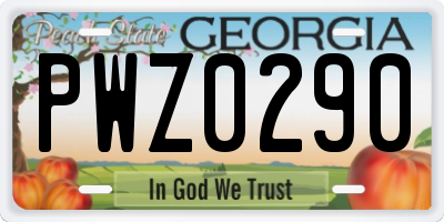 GA license plate PWZ0290
