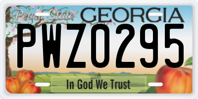 GA license plate PWZ0295