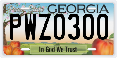 GA license plate PWZ0300