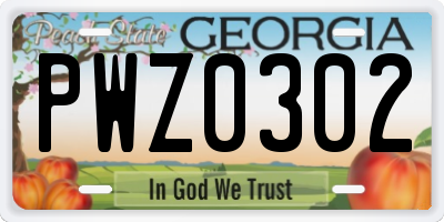 GA license plate PWZ0302