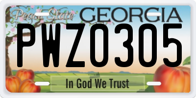 GA license plate PWZ0305