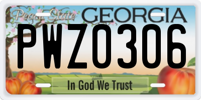 GA license plate PWZ0306