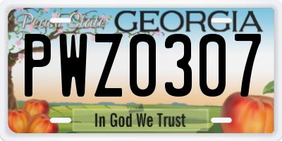 GA license plate PWZ0307