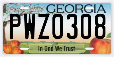 GA license plate PWZ0308