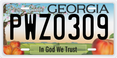GA license plate PWZ0309