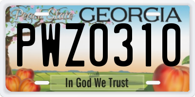 GA license plate PWZ0310