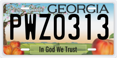 GA license plate PWZ0313