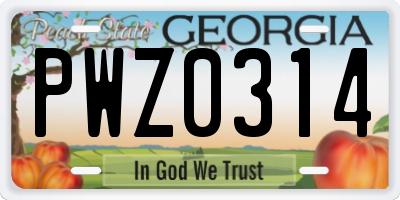 GA license plate PWZ0314