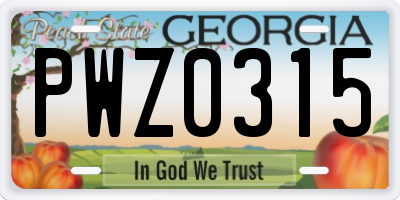 GA license plate PWZ0315