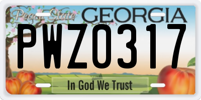 GA license plate PWZ0317