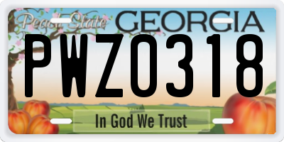 GA license plate PWZ0318