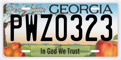 GA license plate PWZ0323